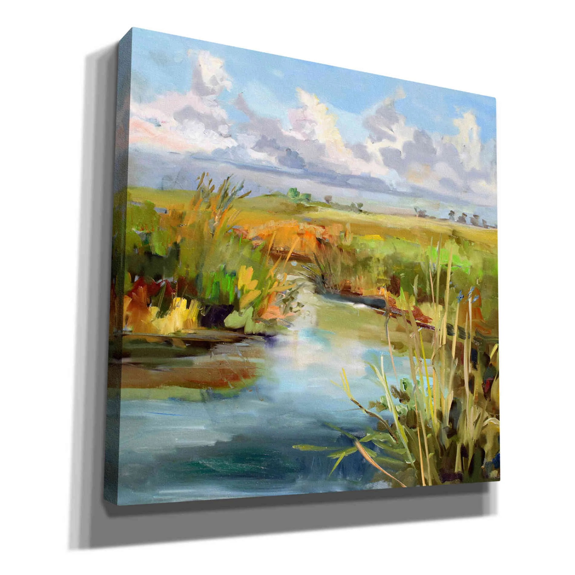 'Afternoon Skies' by Carol Hallock, Canvas Wall Art