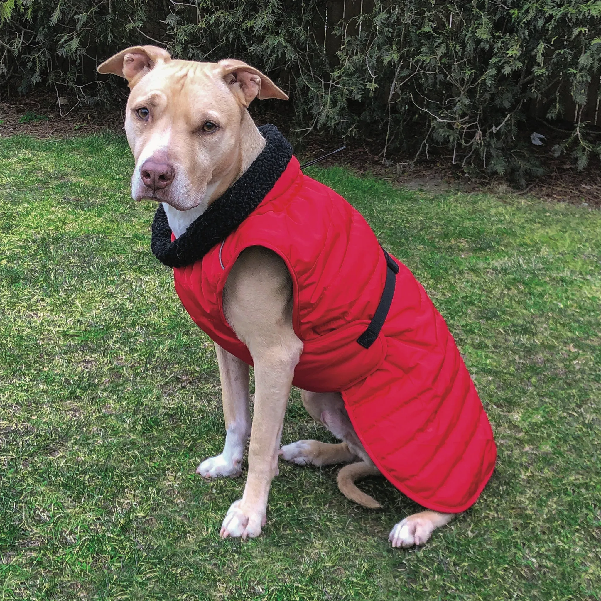 Basecamp Parka