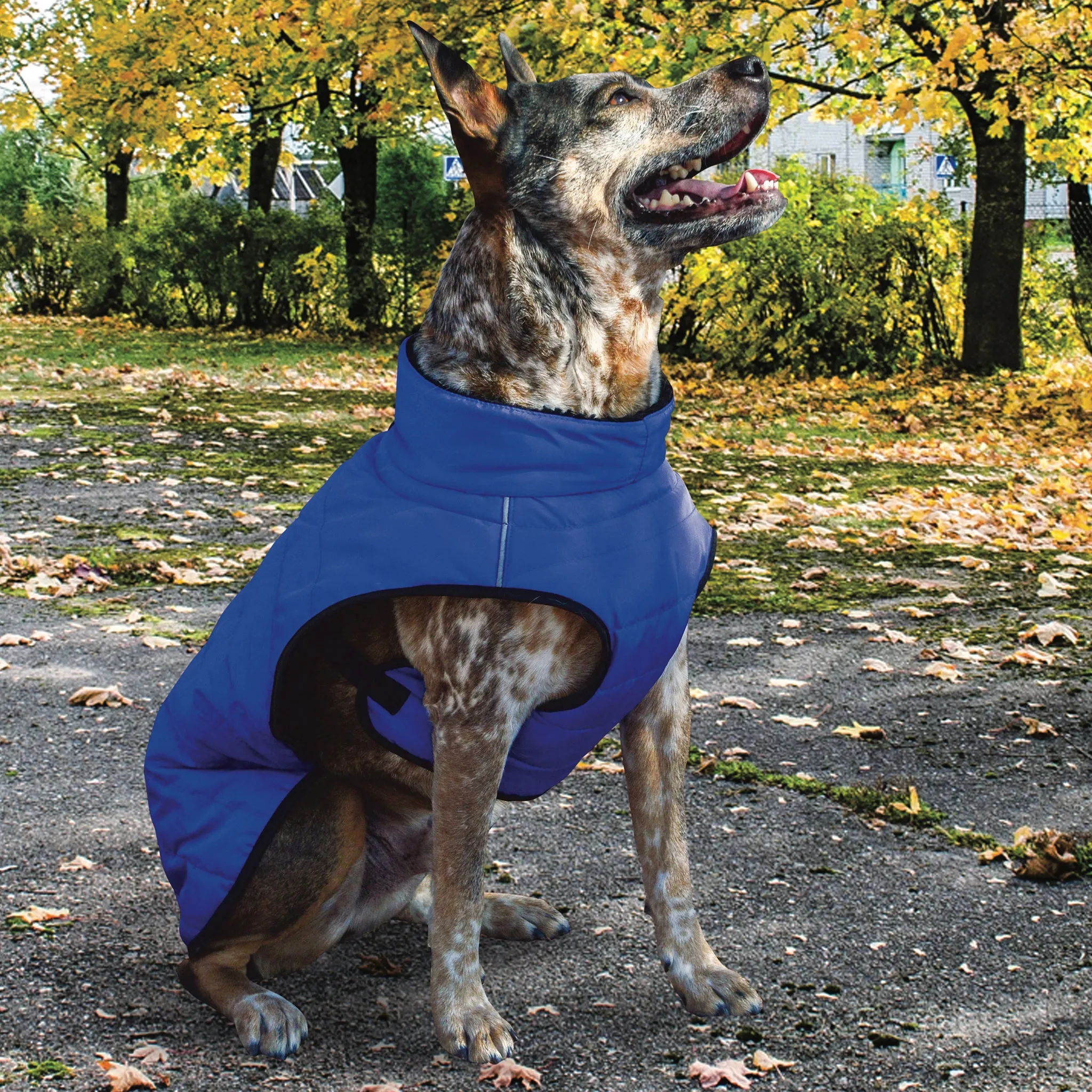 Basecamp Parka
