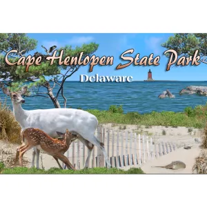 MGDE72 Magnet Photo Delaware Cape Henlopen Montage