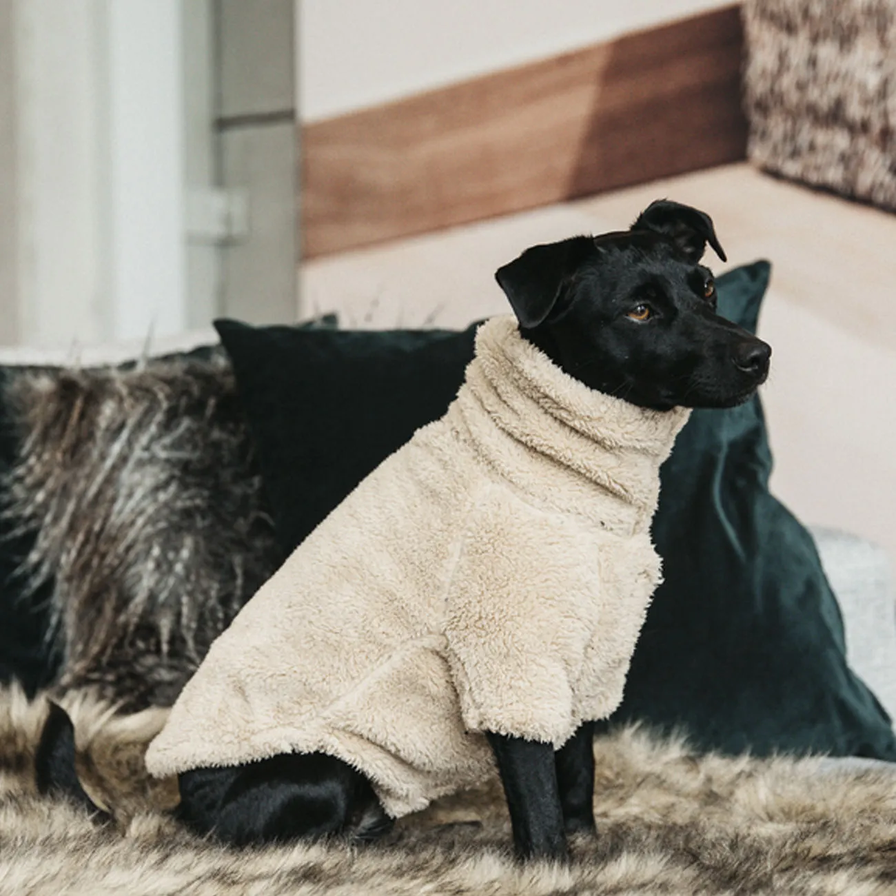 SWEATER FOR DOGS TEDDY FLEECE